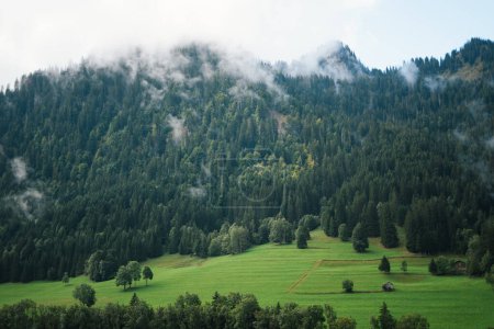 Foto de Majestic mountains in the Alps covered with trees and clouds - Imagen libre de derechos