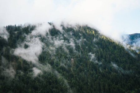 Photo for Majestic mountains in the Alps covered with trees and clouds - Royalty Free Image