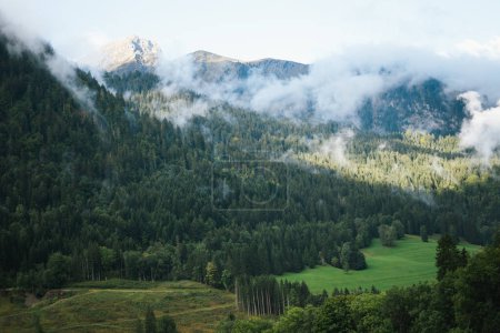 Téléchargez les photos : Majestic mountains in the Alps covered with trees and clouds - en image libre de droit