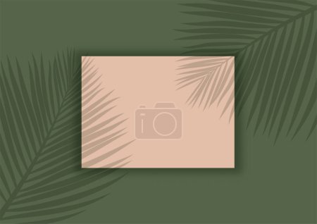 Illustration for Display mock up background with palm tree leaves shadow overlay - Royalty Free Image