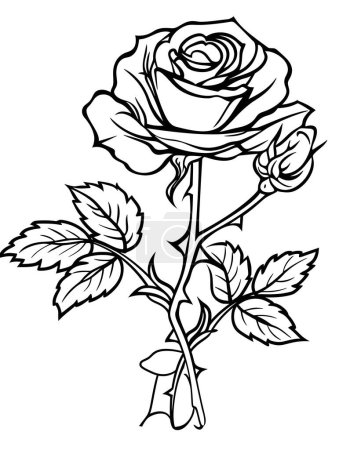 eine Rose mit Blättern und einem Stiel