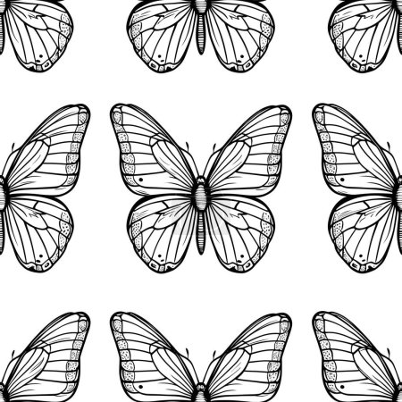 Photo for Black butterfly, isolated on a white - Royalty Free Image
