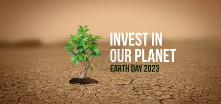 Plant in dried cracked mud concept banner.  Earth day 2023 concept background. planet concept background. 