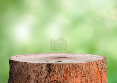 Foto de Parte superior del tronco del árbol para la decoración y el paisaje primavera. - Imagen libre de derechos