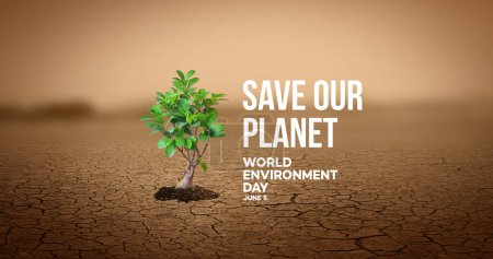 Photo for World environment day 2023 3d concept background. Ecology concept. Design with globe map drawing and leaves isolated on white background. Better Environment, Better Tomorrow. - Royalty Free Image