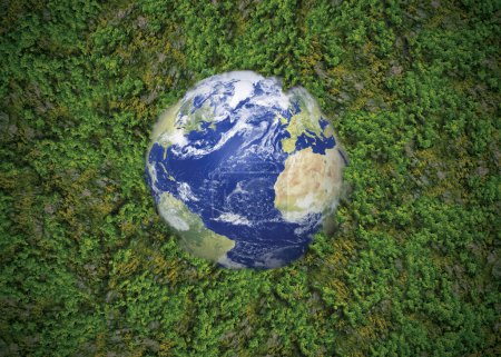 Téléchargez les photos : Carte du monde verte- forme d'arbre ou de forêt 3D de la carte du monde isolé sur fond blanc. Carte du monde Planète verte Jour de la Terre ou Journée de l'environnement Concept. Terre verte avec voiture électrique. Accord de Paris concept. - en image libre de droit