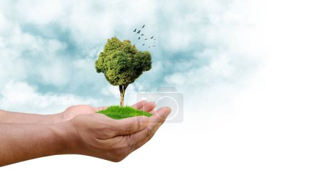 Día Mundial del Medio Ambiente Concepto 2024 - Restauración de la tierra, desertificación y resiliencia a la sequía, fondo de árboles 3d. Concepto de ecología. Somos # GenerationRestoration