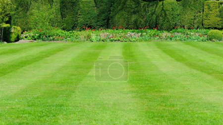 Téléchargez les photos : Jardin paysager anglais paisible - en image libre de droit