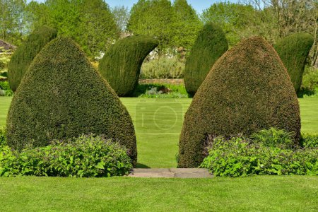 Photo for View of a Beautiful English Style Park with Green Plants - Royalty Free Image