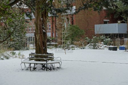 Téléchargez les photos : Parc d'hiver dans la ville - en image libre de droit