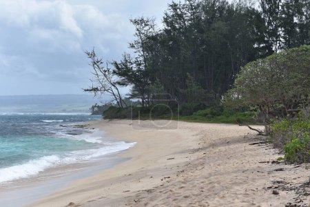 Téléchargez les photos : Vue panoramique d'une belle plage d'île tropicale avec sable fin doré, mer turquoise calme et palmiers verts - en image libre de droit