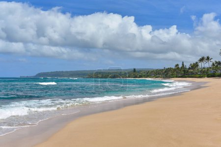 Téléchargez les photos : Belle plage avec palmiers et ciel bleu - en image libre de droit