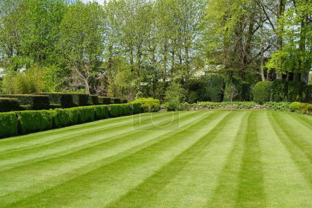 Scenic view of a beautiful English style landscape garden with a freshly mowed striped grass lawn and green leafy plants