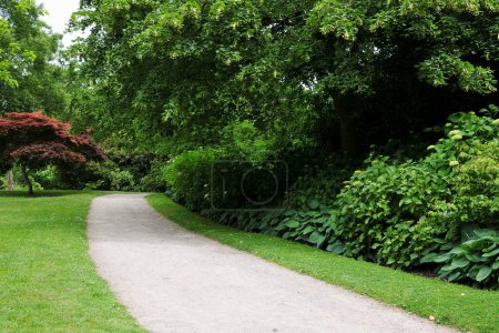 Photo for Beautiful park in the summer - Royalty Free Image