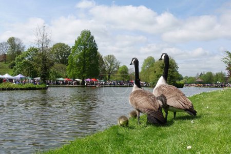 Téléchargez les photos : The spring fayre in a town park on May 7, 2023 in Warminster, Royaume-Uni. La ville historique du Wiltshire est célèbre pour sa culture locale et ses festivités. - en image libre de droit
