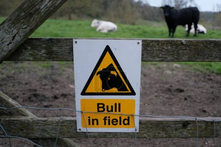 Foto de Señal de advertencia con un toro en la valla - Imagen libre de derechos