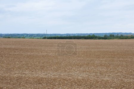 Téléchargez les photos : Un champ de blé à la campagne - en image libre de droit