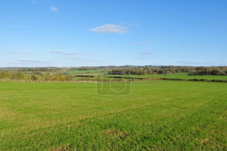 Blick auf die Felder und Hügel an einem sonnigen Tag