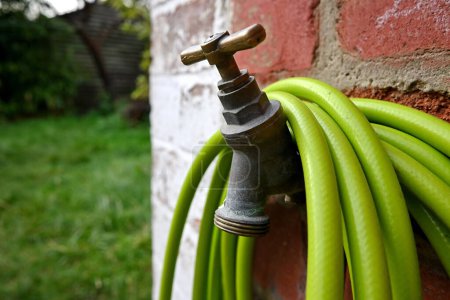 Photo for View of a garden tap and hose - Royalty Free Image