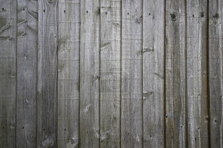 Photo for Close up view of weathered wooden panels - Royalty Free Image