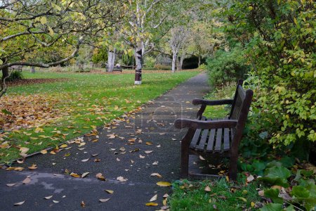 Foto de Vista panorámica de un sendero frondoso en un hermoso jardín de otoño con banco de madera - Imagen libre de derechos