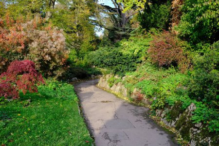 Téléchargez les photos : Vue panoramique d'un sentier verdoyant dans un beau jardin d'automne - en image libre de droit