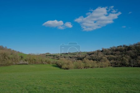 Foto de Vista panorámica de un hermoso campo verde y cielo azul claro por encima - Imagen libre de derechos
