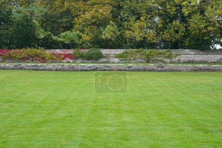 Foto de Vista panorámica de un hermoso jardín paisajístico de estilo inglés con un césped de hierba exuberante, flores de colores en flor - Imagen libre de derechos