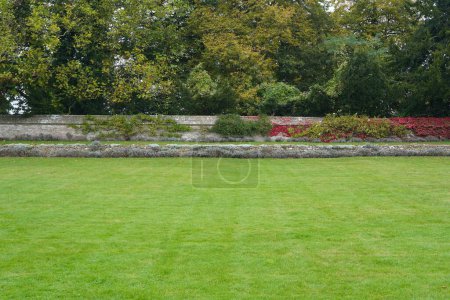 Photo for Scenic view of a beautiful English style landscape garden with a lush grass lawn, colourful flowers in bloom - Royalty Free Image