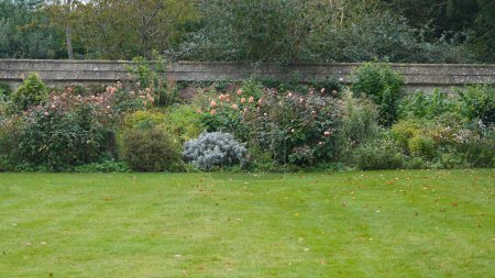 Téléchargez les photos : Vue panoramique d'un beau jardin paysager de style anglais avec une pelouse luxuriante, fleurs colorées en fleurs - en image libre de droit