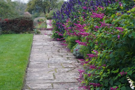 Photo for Scenic summertime view of a stone paved path through a beautiful English style landscape garden with a flowers in bloom and green leafy plants - Royalty Free Image