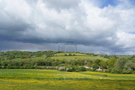 Photo for Scenic landscape view of green farmland fields and a forest in a beautiful valley in the countryside - Royalty Free Image
