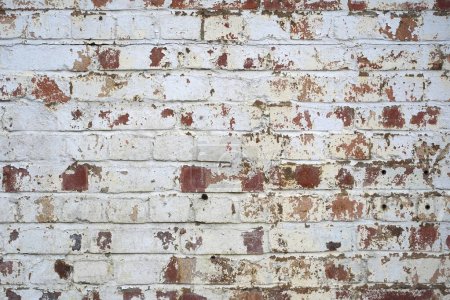 Foto de Vista de cerca de una vieja pared de ladrillo rojo envejecido cubierto de pintura blanca pelar - Imagen libre de derechos
