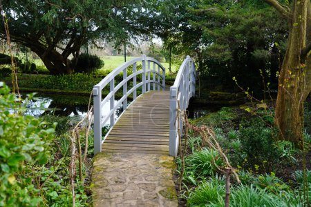 Téléchargez les photos : Vue panoramique d'un pont en bois dans un beau jardin - en image libre de droit