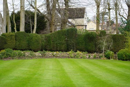 Foto de Vista panorámica de un hermoso jardín paisajístico de estilo inglés con un césped verde segado y plantas frondosas - Imagen libre de derechos