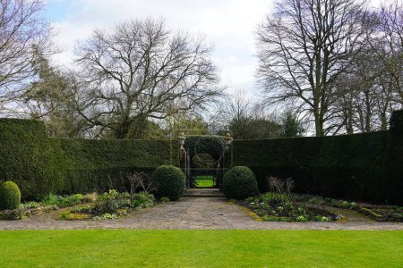 Téléchargez les photos : Vue panoramique d'un beau jardin paysager de style anglais avec une pelouse tondue verte et des plantes feuillues - en image libre de droit