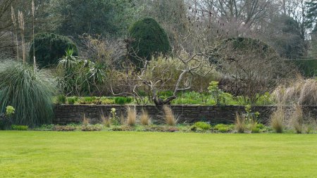 Foto de Vista panorámica de un hermoso jardín paisajístico de estilo inglés con un césped de hierba exuberante, flores de colores en flor - Imagen libre de derechos