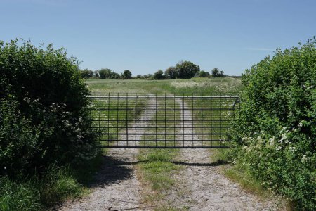 Photo for View of a metal gate at a farmland field and dirt track with a clear sky above - Royalty Free Image