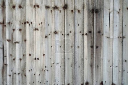 Photo for Close up view of weathered wooden panels with plenty of copy space - Royalty Free Image