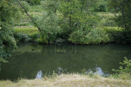 Téléchargez les photos : Vue panoramique d'une rivière dans la campagne - à savoir la rivière Frome traversant le hameau Wiltshire d'Iford - en image libre de droit
