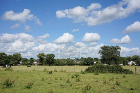 Téléchargez les photos : Vue paysage panoramique d'un champ de ferme verdoyant spacieux et ouvert et ciel nuageux bleu au-dessus par une journée d'été - en image libre de droit