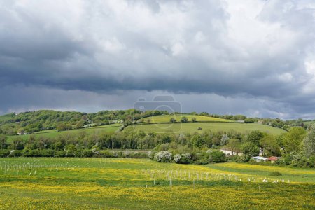Scenic landscape view of a green field in a valley with yellow buttercup flowers and a blue sky above with dramatic storm clouds