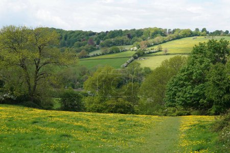 Vue paysage panoramique d'un champ verdoyant dans une vallée avec des fleurs de buttercup jaunes et un ciel bleu au-dessus avec des nuages de tempête dramatiques