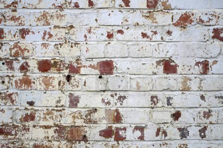 Photo for Close-up view of an old weathered red wrick wall covered in peeling white paint - Royalty Free Image
