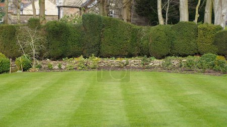 Téléchargez les photos : Vue panoramique d'un beau jardin paysager de style anglais avec une pelouse d'herbe rayée fraîchement tondue et des plantes verdoyantes luxuriantes - en image libre de droit