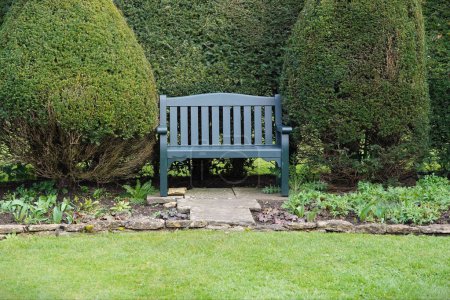 Foto de Vista panorámica de un banco de madera situado entre setos topiarios en un hermoso jardín de estilo inglés con flores en flor y un césped de hierba exuberante - Imagen libre de derechos