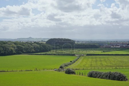 Téléchargez les photos : Vue panoramique des champs verdoyants dans la campagne anglaise - en image libre de droit