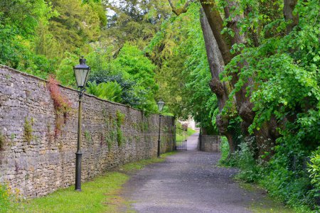 Foto de Escénica vista panorámica de un sendero de grava suburbano con árboles verdes y un poste de lámpara de hierro tradicional en una hermosa ciudad inglesa - Imagen libre de derechos