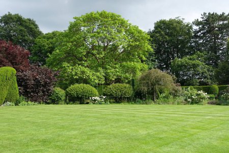 Téléchargez les photos : Vue panoramique d'un jardin paysager spacieux de style anglais attrayant avec une pelouse tondue à l'herbe fraîche - en image libre de droit