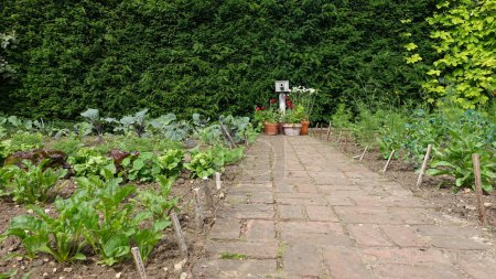 Téléchargez les photos : Vue panoramique estivale d'un sentier pavé de pierre à travers un joli jardin de style anglais avec des fleurs colorées en fleurs et des plantes verdoyantes - en image libre de droit